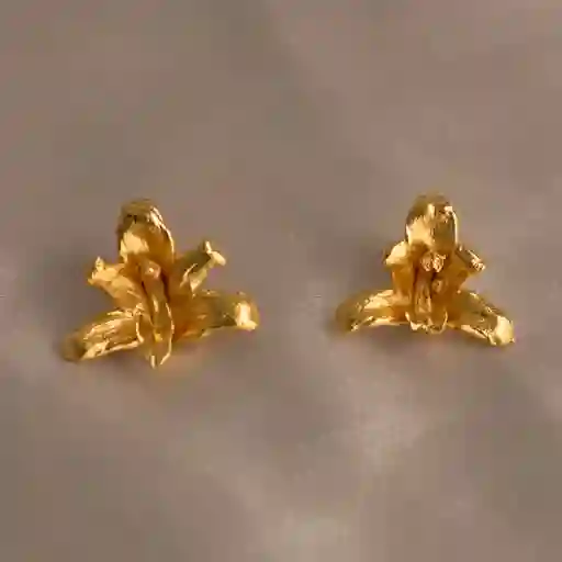 Aretes Topo Orquidea Maxilaria