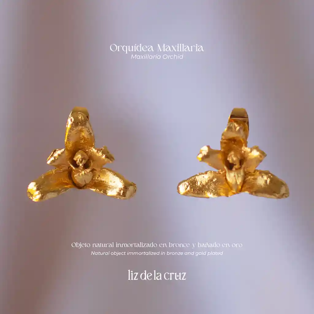 Aretes Topo Orquidea Maxilaria