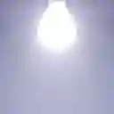 Bombillo Led 12w E27 6500k Luz Blanca Nippon