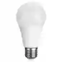 Bombillo Led 12w E27 6500k Luz Blanca Nippon
