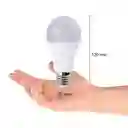 Bombillo Led 12w E27 6500k Luz Blanca Nippon