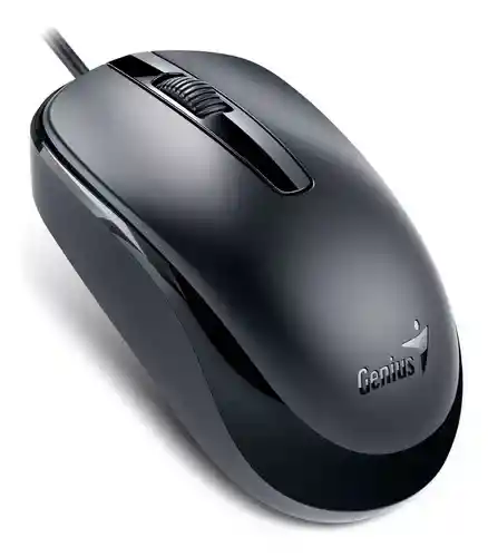 Mouse Usb Genius Dx-120