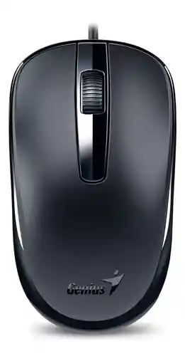 Mouse Usb Genius Dx-120