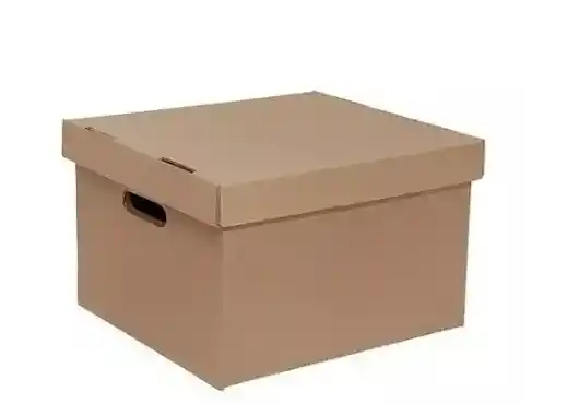 Caja De Carton X-300