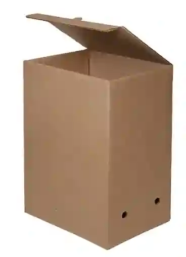 Caja De Carton X-200