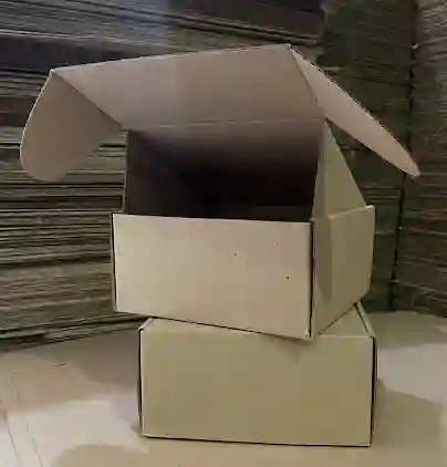 Cajas Troqueladas Micro Corrugado 20x20x10