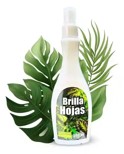 Brilla Hojas