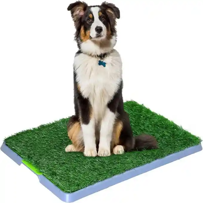 Tapete Grande Para Mascota Entrenamiento Baño Puppy Potty