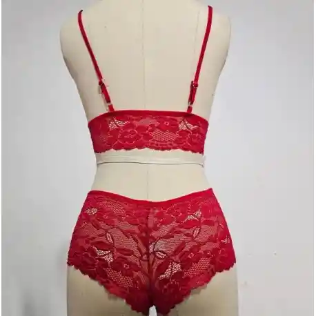 Hermoso Conjunto Encaje Cachetero