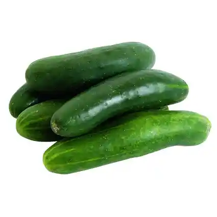 Pepino Cohombro