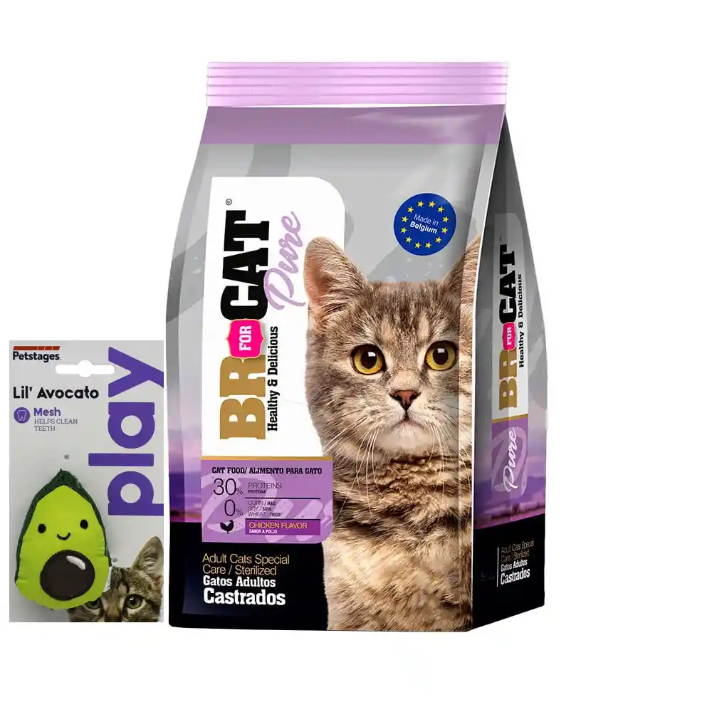 Royal Canin® Persian Adult 2 Kg Gratis 1 Lata Alimento Húmedo Persa