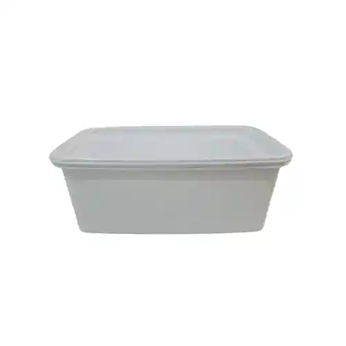 Recipiente Plastico Rectangular Para Congelacion 4l Blanco