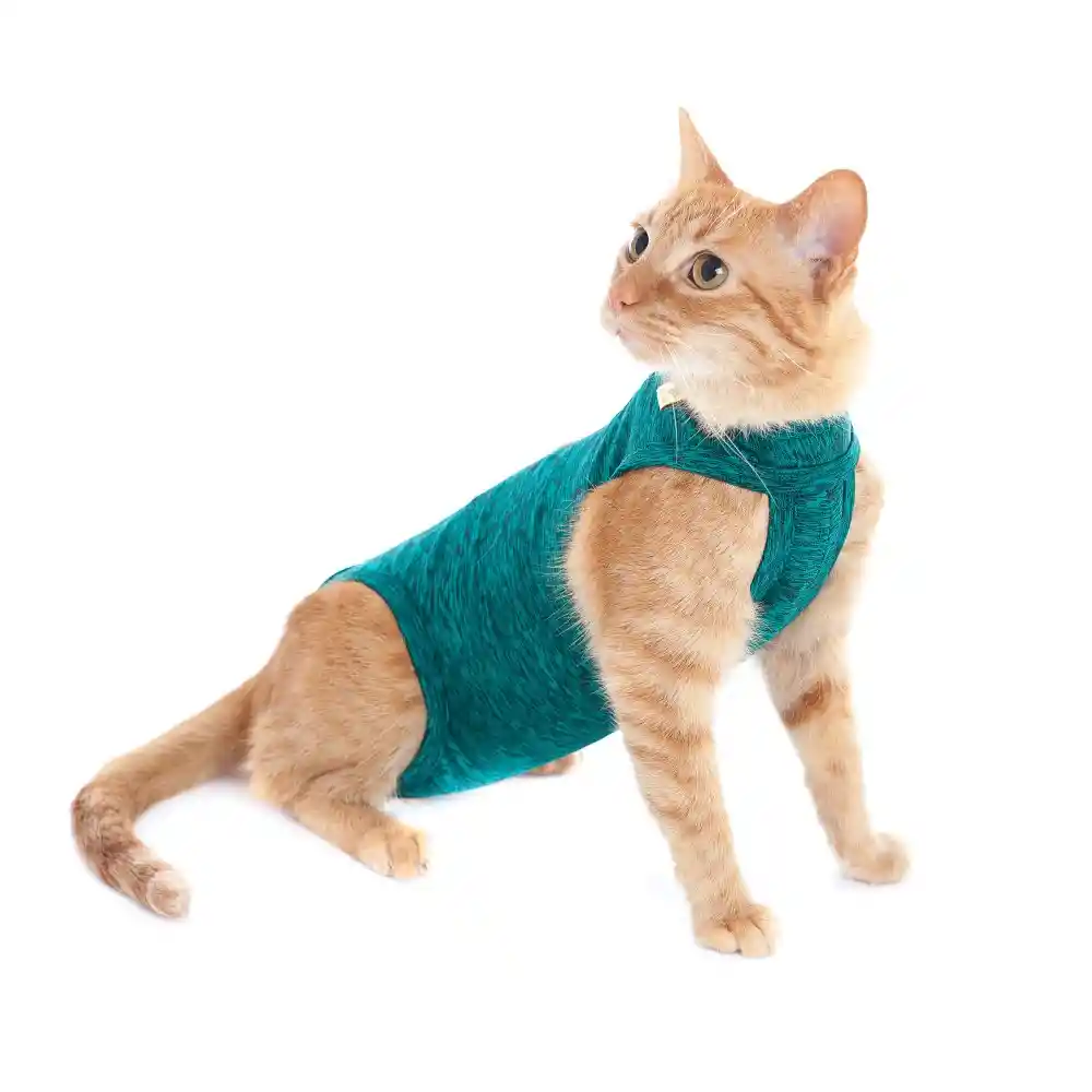 Faja Posquirurgico Para Mascotas Mini