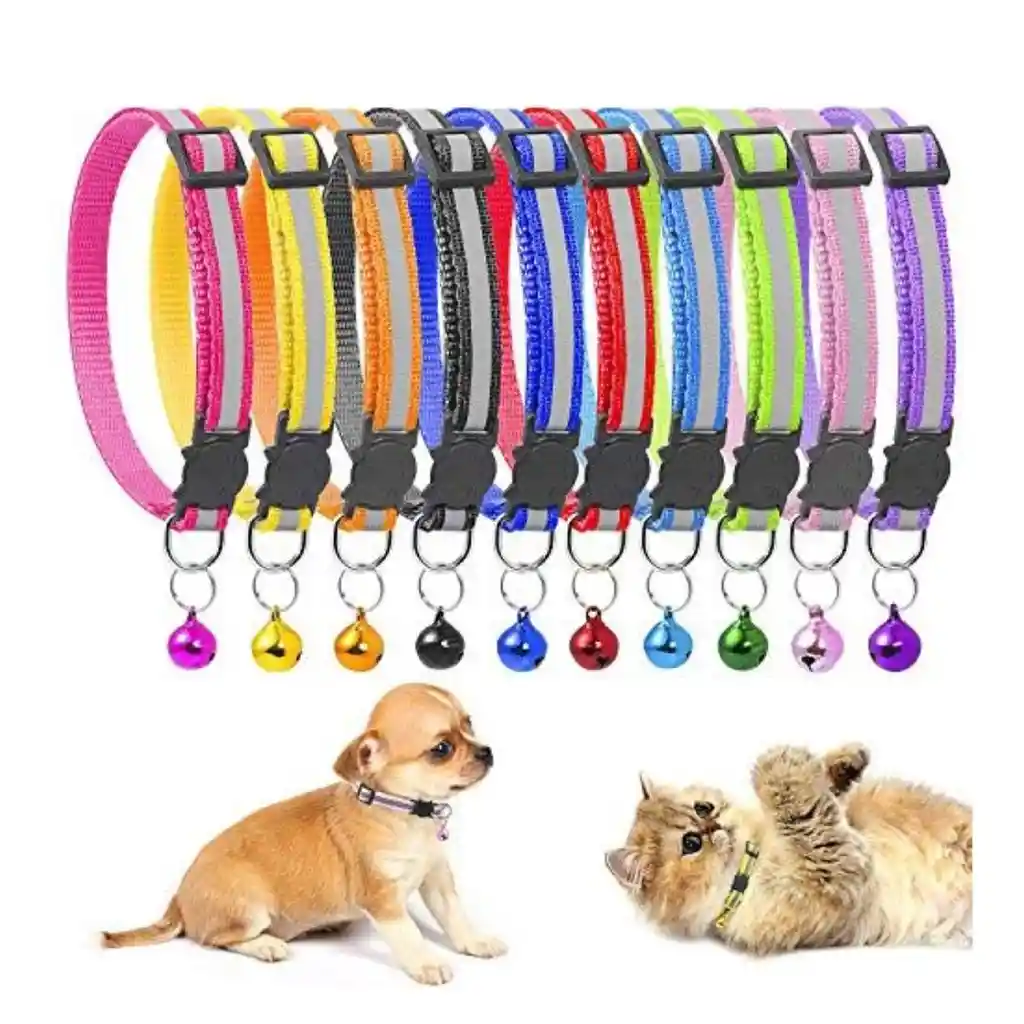 Collar Colores Reflectivos X Unidad