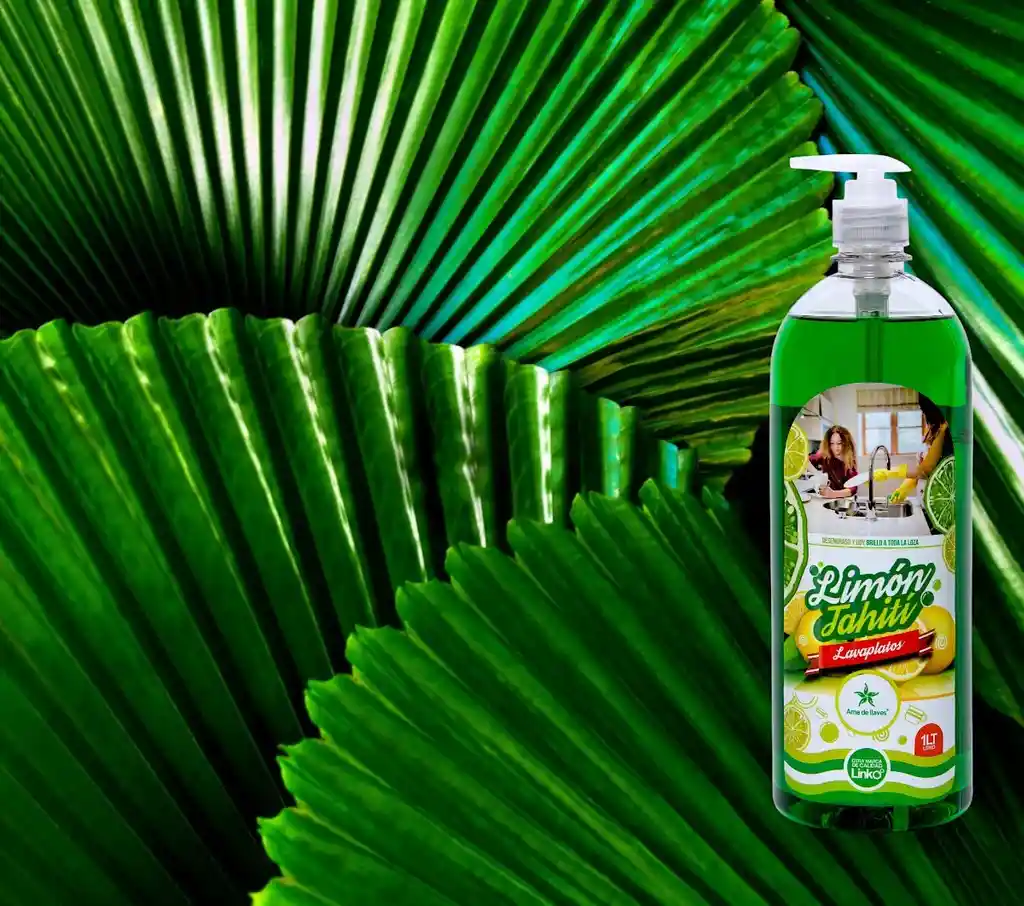 Lavaplatos Arranca Grasa Con Aroma Limón Tahití X 1 Litro Ama De Llaves