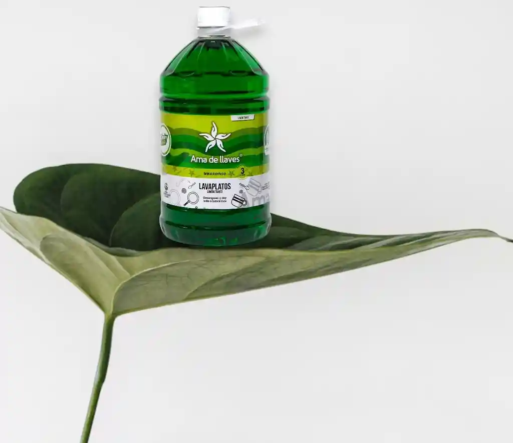 Lavaplatos Arranca Grasa Limón Tahití X 3 Litros Ama De Llaves