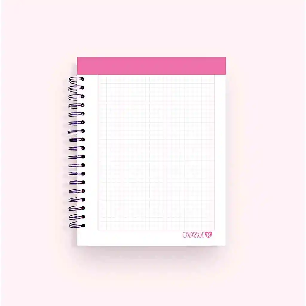 Cuaderno 5 Materias Mediano Paraíso