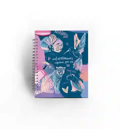Cuaderno 5 Materias Mediano Paraíso