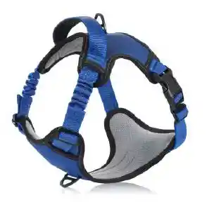 Calabaza Pets Pechera Con Absorcion De Impactos Amortiguacion Talla M