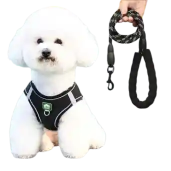 Calabaza Pets Pechera Con Trailla Refletiva Mango De Goma Talla S