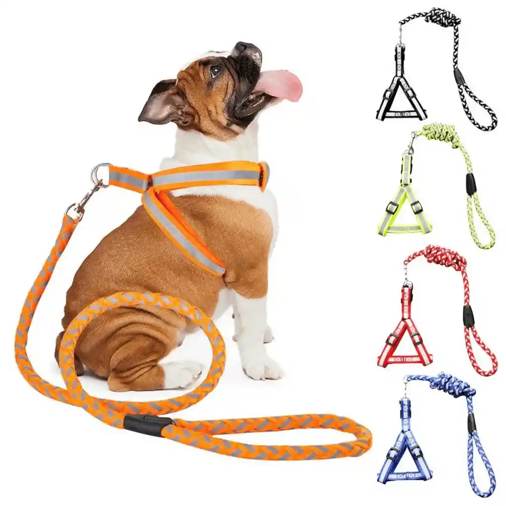 Correa Con Pechera Para Perro Razas Pequeñas Y Grandes