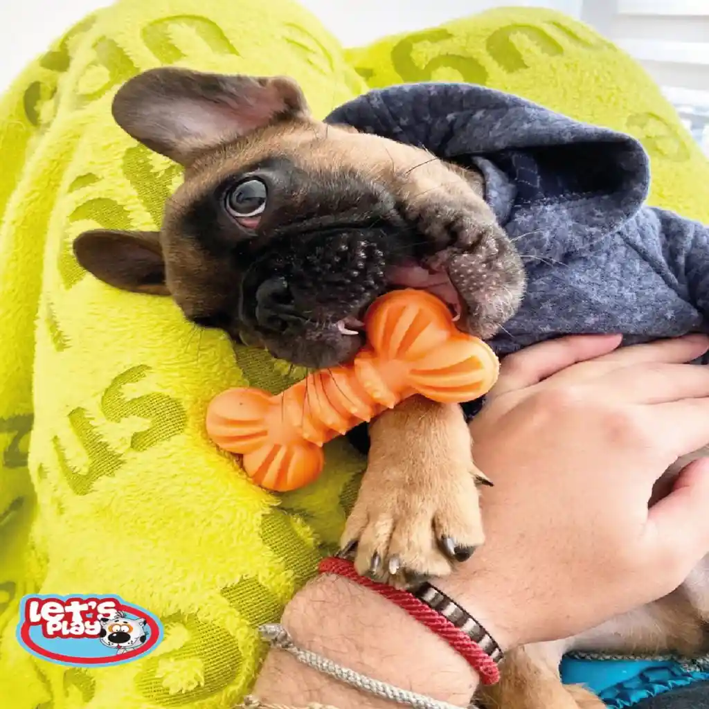 Juguete Perro Hueso Eco