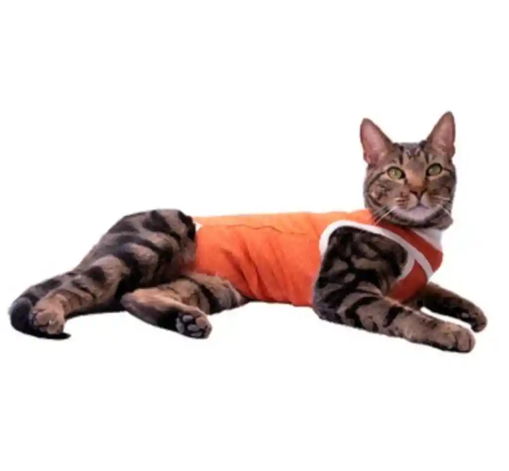 Faja Posquirurgico Para Mascotas S