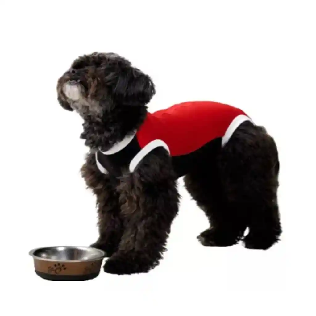 Faja Posquirurgico Para Mascotas M