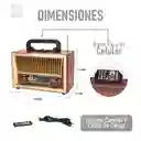 Radio Bluetooth Potente Recargable Grande Am/sm/sw Control