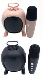 Mini Parlante Karaoke Bafle Recargable Inalambrico Bluetooth