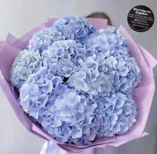 Bouquet Hortensia Azul