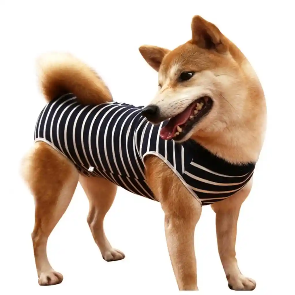 Faja Posquirurgico Para Mascotas Ml