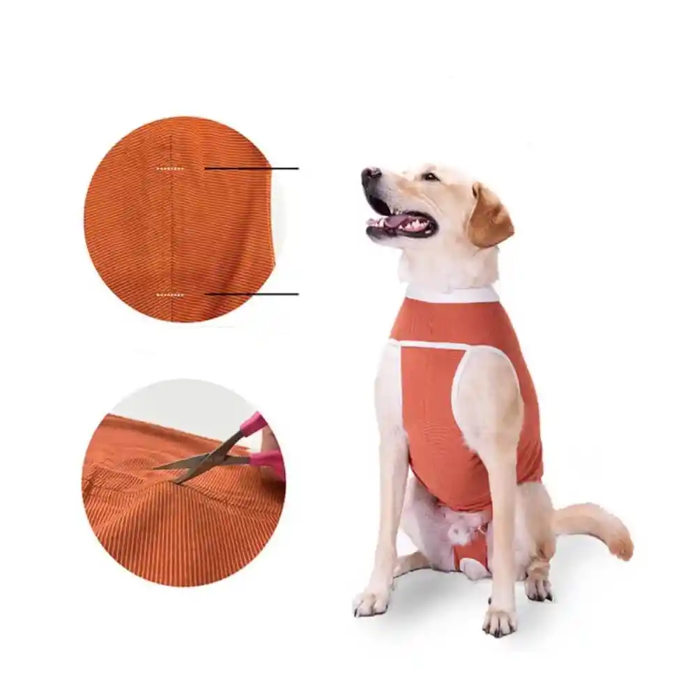 Faja Posquirurgico Para Mascotas Xxl