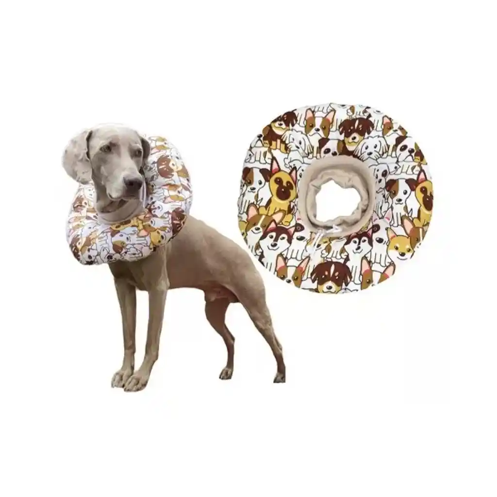 Collar Isabelino Dona L