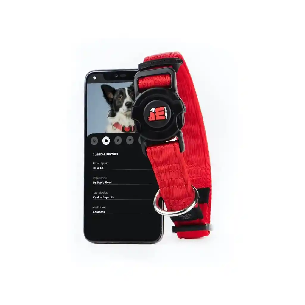 Collar Memopet Poliester Color Azul S