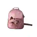 Morral Pequeño De Gato