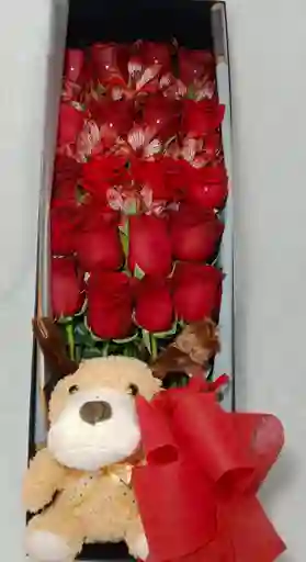 Rosas Rojas En Caja Y Peluche