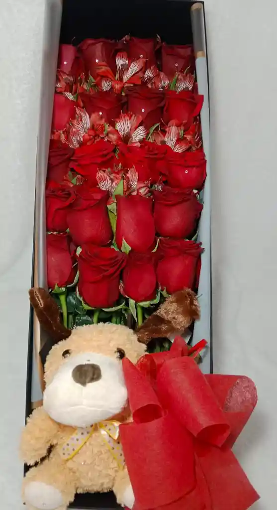 Rosas Rojas En Caja Y Peluche