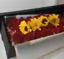 Caja De Rosas Rojas Y Girasol