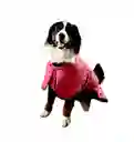 Chaqueta Impermeable Para Perros