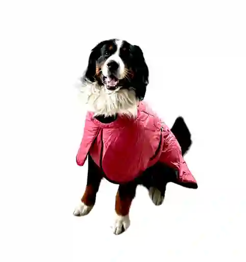 Chaqueta Impermeable Para Perros Raza Grande