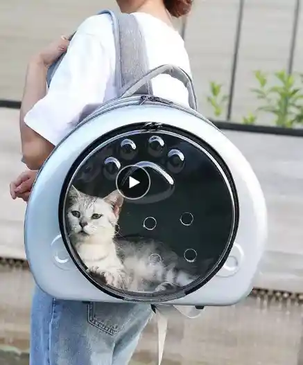 Mochila Transportadora Para Gatos Y Perros Pequeños, Mochila Transpirable Para Viajes Al Aire Libre, Embalaje Portátil, Suministros Para Mascotas