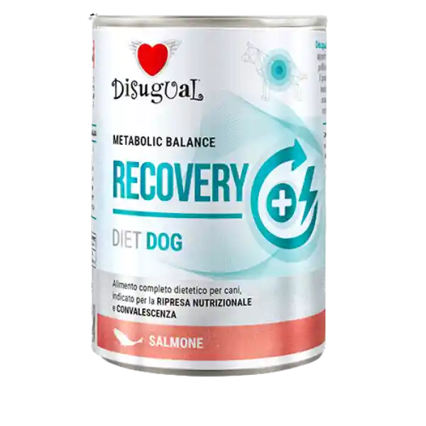 Disugual Metabolic Balance Dog Recovery Salmón 400g