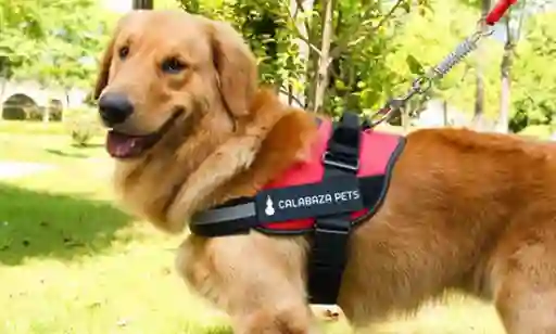 Calabaza Arnés Para Perro Anti-Tirones L