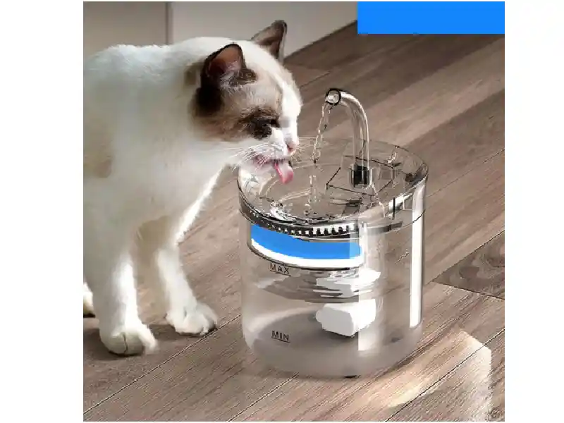 Fuente Dispensadora Para Gato