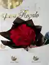 Rosas Rojas