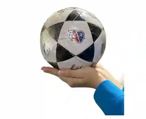 Balon De Futbol Microfutbol Equipos