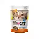 Br For Gato Cat Snack Para Gato Equilibrio Balance X 60 Gr