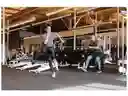 Banda Elástica Morada 35/85 Lb Tensión Crossfit Fisioterapia Tonifica Incrementa Masa Tren Inf-sup