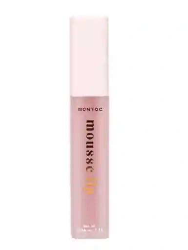 Labial Mousse Lip Nostalgic Rosepink Montoc